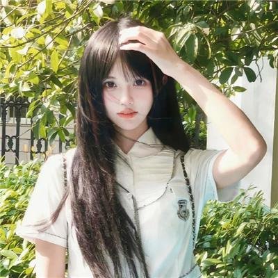 绿洲2024